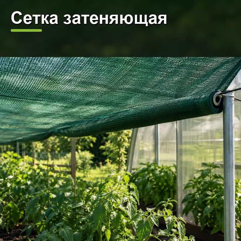 Сетка затеняющая
