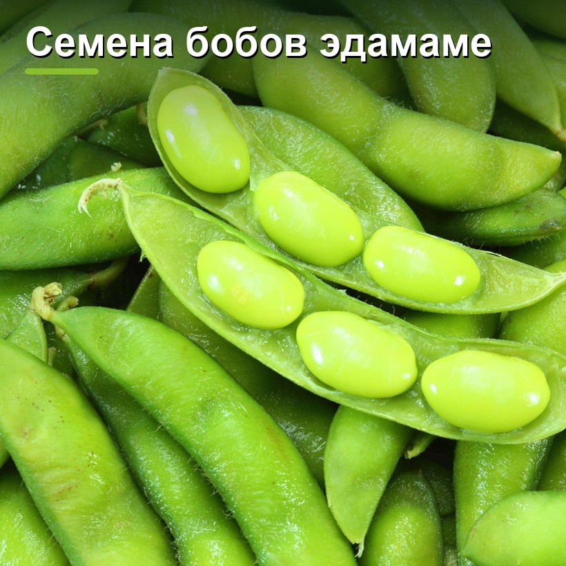 Семена бобов эдамаме