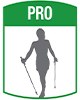 Professional