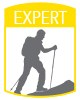 Expert