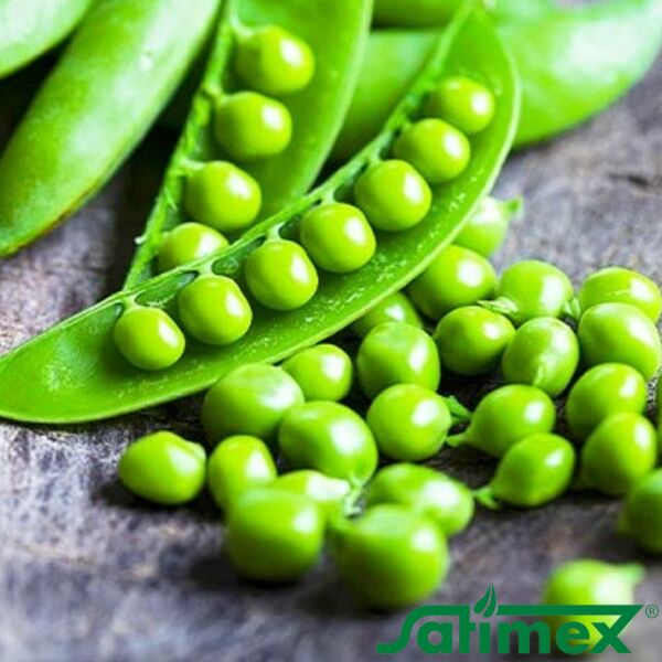 АВОЛА / AVOLA - семена гороха, Satimex