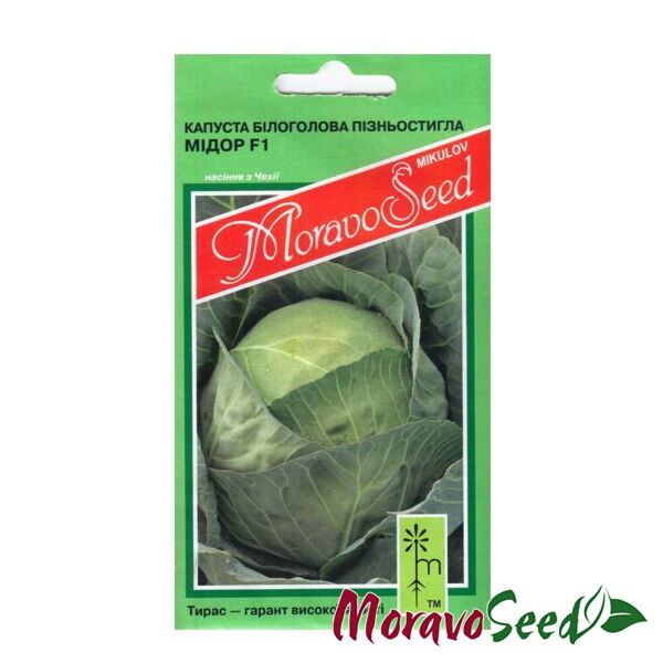 МІДОР F1 / MIDOR F1 - насіння білоголової капусти, Moravoseed