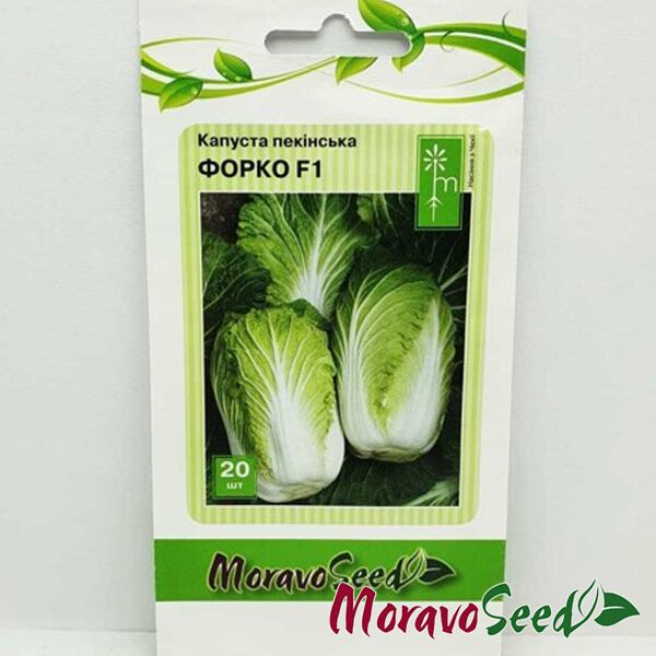 ФОРКО F1 / FORKO F1 - насіння пекінської капусти, Moravoseed