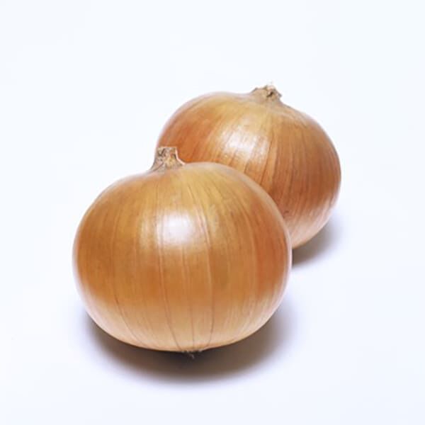 КАЛВЕРА F1 (Т-831 F1) / KALVERA F1 (T-831 F1) - насіння цибулі, Takii Seeds