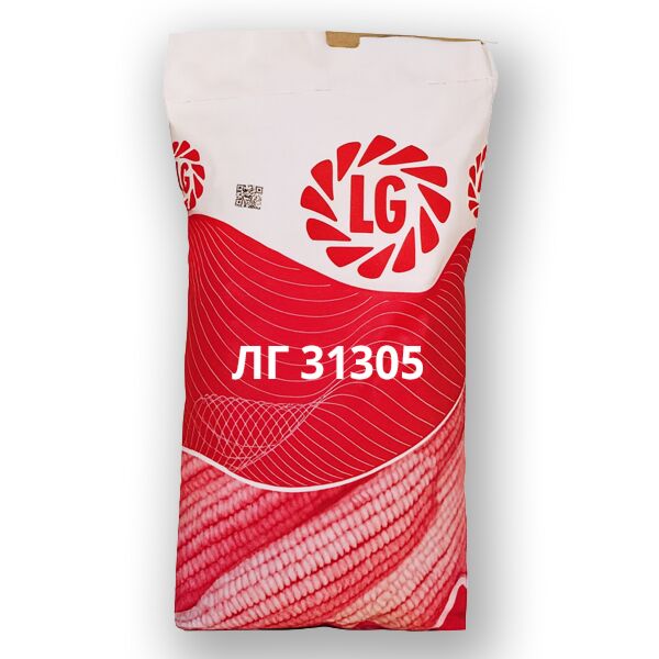 ЛГ 31305 / LG 31305 — насіння кукурудзи, LG Seeds