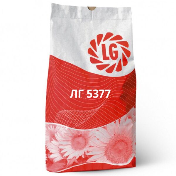 ЛГ 5377 / LG 5377 — насіння соняшнику, LG Seeds