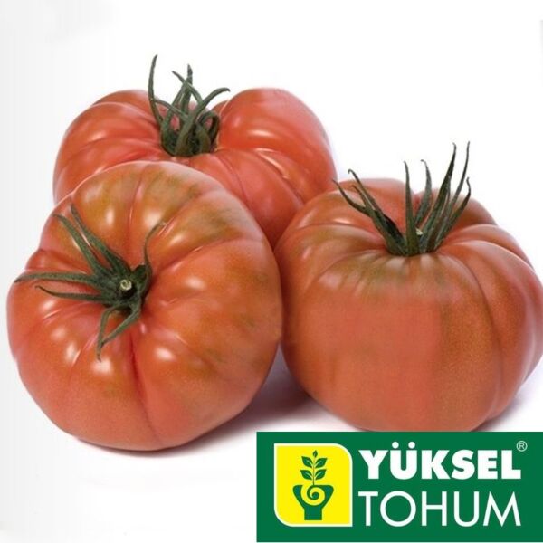 РЕД КОЙ (КРАСНЫЙ) F1 / RED COY (RED) F1 - семена томата, Yuksel Tohum