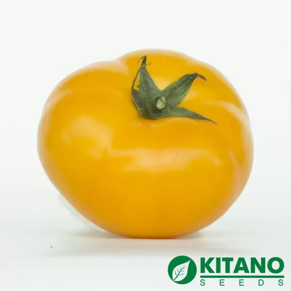 НУКСИ (КС 17) F1 / NUXY (KS 17) F1 - семена томата (помидора), Kitano Seeds