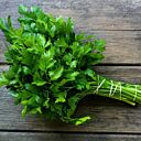ИТАЛЬЯНСКИЙ ГИГАНТ / ITALIAN GIANT - семена петрушки, LibraSeeds