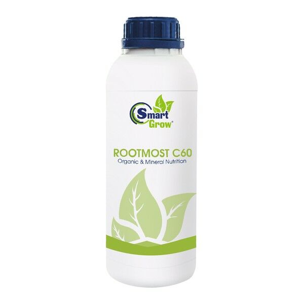 ROOTMOST C60 — биостимулятор растений, Smart Grow
