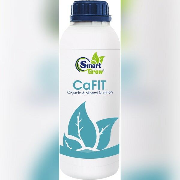 CaFIT — просте мінеральне добриво, Smart Grow
