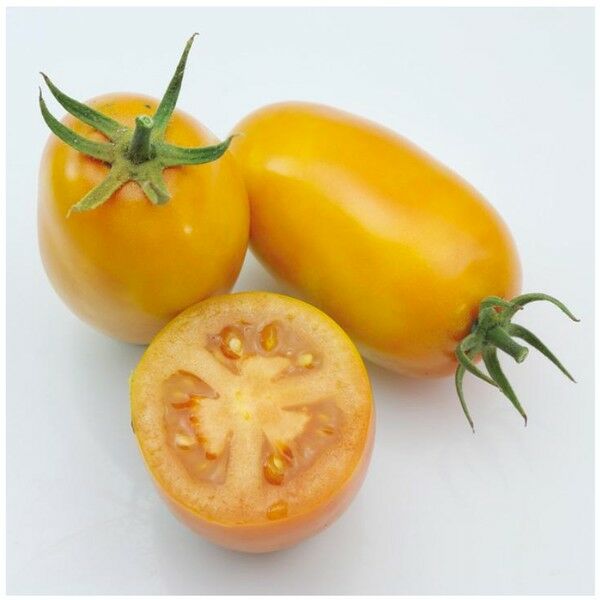 КС 630 F1 / KS 630 F1 — насіння томатів (помідорів), Kitano Seeds