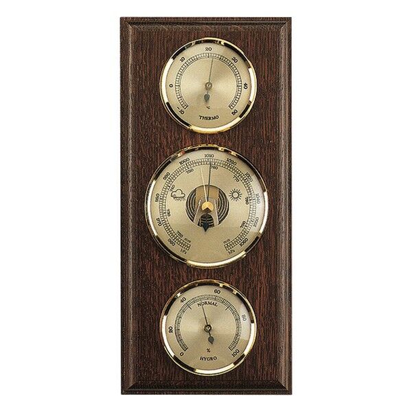 Метеостанция Moller 203229 Oak (203229)