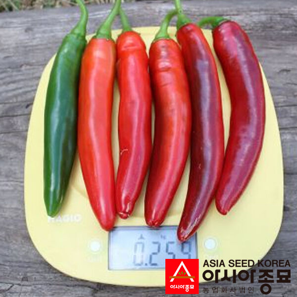 ПЛ 6221 F1 / PL 6221 F1 - семена перца, Asia Seed