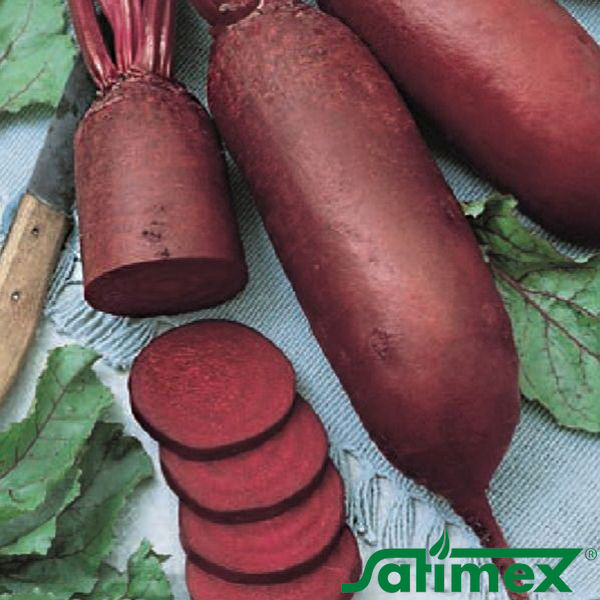 АТАМАН / ATAMAN - насіння столового буряку, Satimex