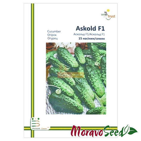 АСКОЛЬД F1 / ASKOLD F1 - насіння огірка, Moravoseed