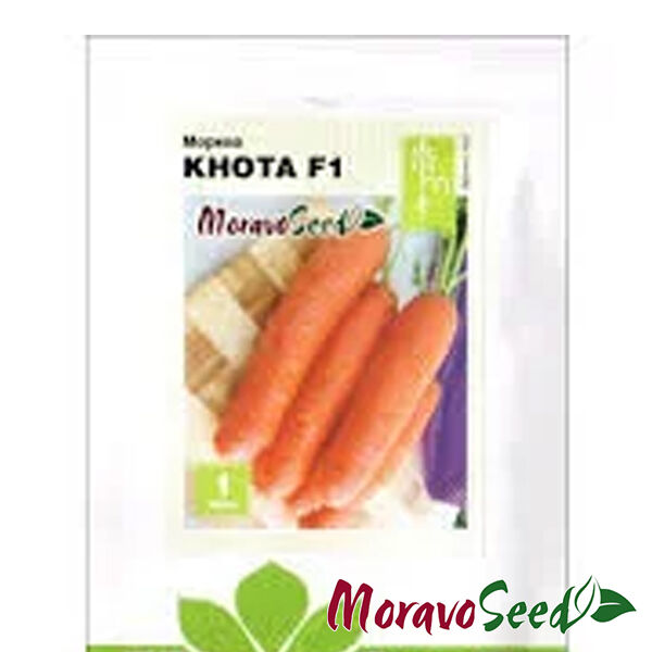 КНОТА F1 / KNOTA F1 - семена моркови, Moravoseed