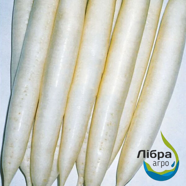 ВАЙТ ФАНГ F1 / WHITE FANG F1 - семена редиса, LibraSeeds