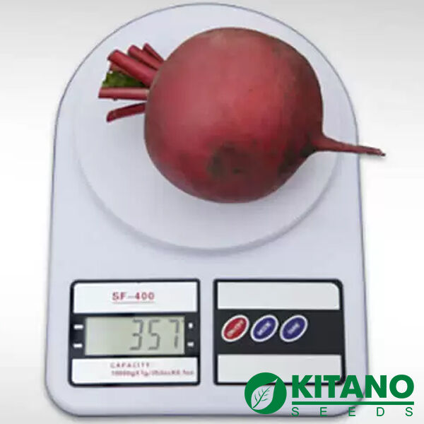 КС 2078 F1 / KS 2078 F1 - насіння редису, Kitano Seeds