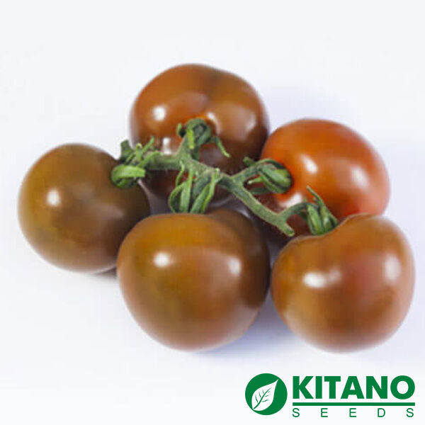 КС 3900 F1 / KS 3900 F1 - насіння томата (помідора), Kitano Seeds
