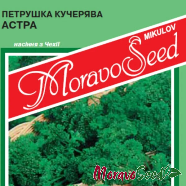 АСТРА / ASTRA - семена петрушки, Moravoseed