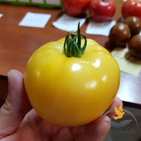 ЄЛЛОУ БОЛЛ F1 / YELLOW BALL F1 - насіння томата (помідора), Spark Seeds