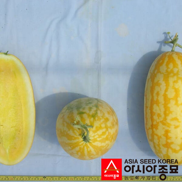 ЖАКО (ПЛ 6003) F1 / ZHAKO (PL 6003) F1 - насіння кавуна, Asia Seed