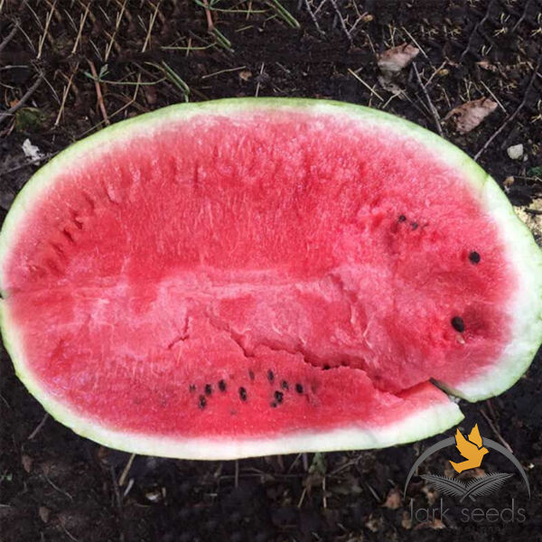 БЬЮТИФУЛ F1 / BEAUTIFUL F1 - семена арбуза, Lark Seeds