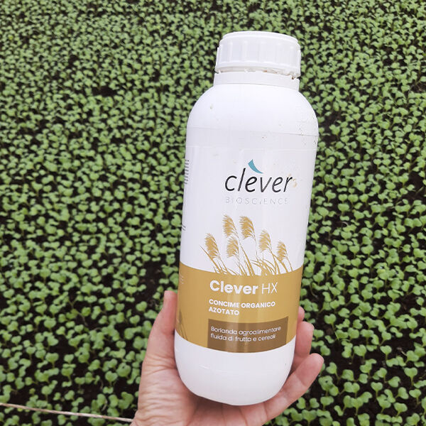 КЛЕВЕР НХ / СLEVER HX - органічне добриво від Clever Bioscience