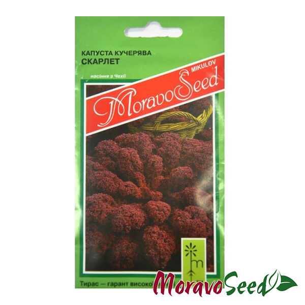 СКАРЛЕТ / SKARLET - насіння листової капусти, Moravoseed