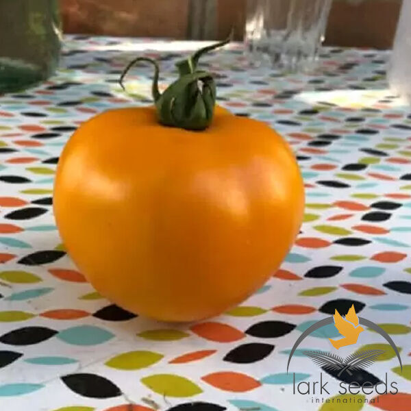 ЄЛЛОУ ПЕШЕН F1 / YELLOW PESHEN F1 - насіння томата (помідора), Spark Seeds