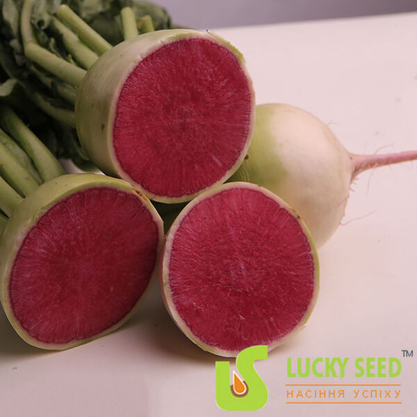 ПИНКИ МЕРИКОЛ / PINKI MERIKOL - насіння редьки, Lucky Seed