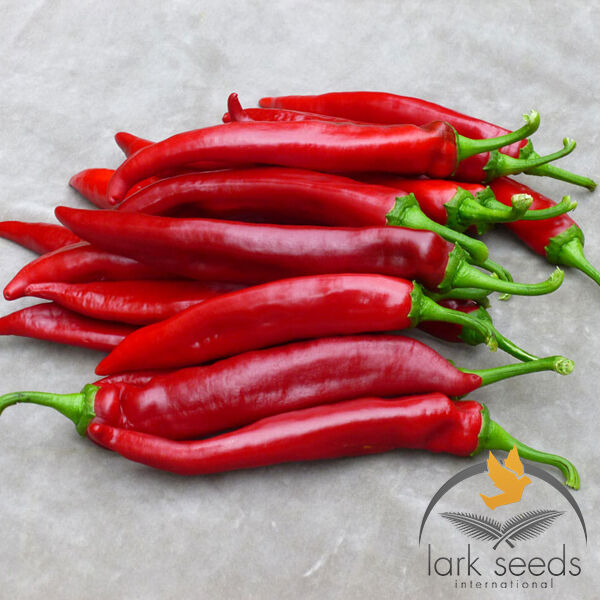 ХИРОШ F1 / HIROSH F1 - семена перца, Lark Seeds