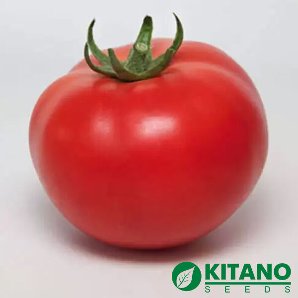 МАНАМИ (КС 21) F1 / MANAMI (KS 21) F1 - семена томата (помидора), Kitano Seeds