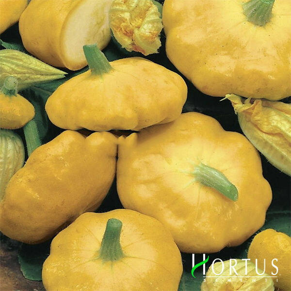ОРАНЖЕВИЙ / ORANGE - насіння патисона, Hortus