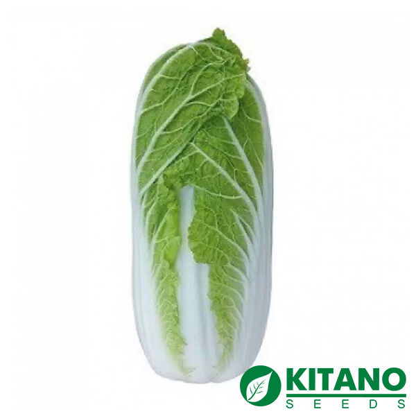 ТЕНСАЙ (KS 374) F1 / TENSAY (КС 374) F1 - семена пекинской капусты, Kitano Seeds