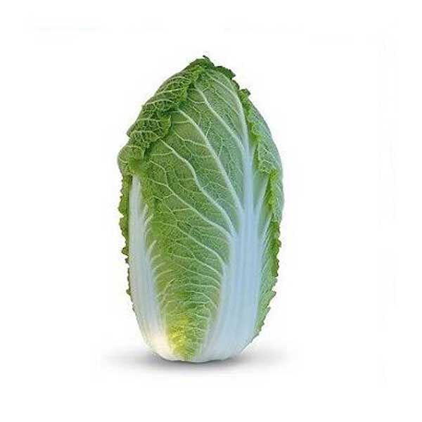 ЯМОРІ (КС 340) F1 / YAMORI (KS 340) F1 - насіння пекінської капусти, Kitano Seeds