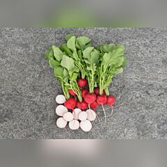 РОКСАН F1 / ROXANNE F1 - семена редиса, Bejo