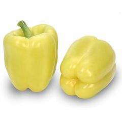 ХЕЛИКОН F1 / HELIKON F1 - семена перца, INNOVA SEEDS