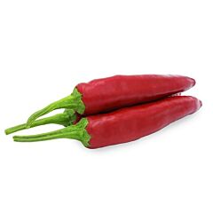 ФОНО F1 / FONO F1 - семена перца, INNOVA SEEDS