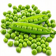 КІТО / KITO — насіння гороху, LibraSeeds