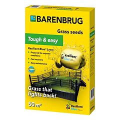РЕЗИЛИЕНТ БЛЮ / RESILIENT BLUE — газонная травосмесь, Barenbrug