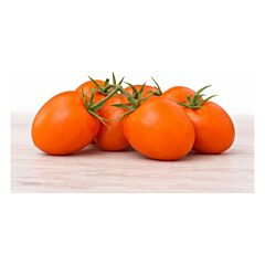 ЭЛИПСО ОРАНЖ F1 / ELIPSO ORANGE F1 — семена томата (помидора), LEDA