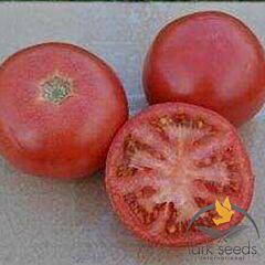 1810 F1 - семена томата (помидора), Lark Seeds