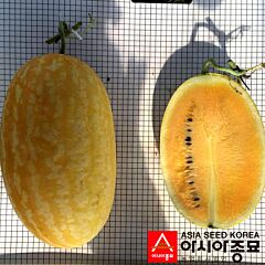 ПЛ 6003 F1 / PL 6003 F1 - семена арбуза, Asia Seed