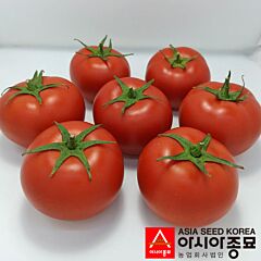 ПЛ 6212 F1 / PL 6212 F1 - насіння томата (помідора), Asia Seed