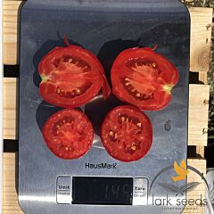 9969 F1 - насіння томата (помідора), Lark Seeds