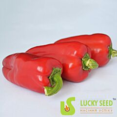 АМУЛЕТ F1 / AMULET F1 - семена перца, Lucky Seed