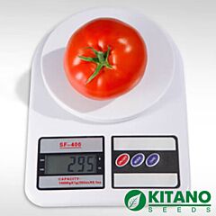 АНИТА F1 / ANITA F1 - семена томата (помидора), Kitano Seeds