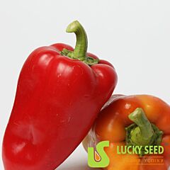 АРБАЛЕТ F1 / ARBALET F1 - семена перца, Lucky Seed